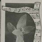 Lovregana - Music From A Tasmanian Forest (1990) / Soundscapes From Wilderness (1988)