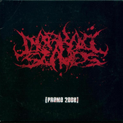 Darkall Slaves: Promo 2008