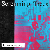 Orange Airplane by Screaming Trees