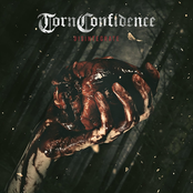 Torn Confidence: Disintegrate