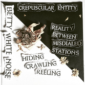 Hiding Crawling Reeling / Reality Between Misdialed Stations