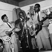 elmore james & his broom dusters