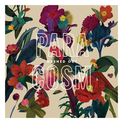 Washed Out: Paracosm