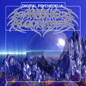 Digital Psychedelia: Akashic Algorithms