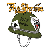 The Shrine: Rare Breed