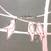 Louise by Joy Kills Sorrow
