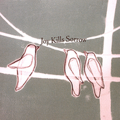 You Made It Easy by Joy Kills Sorrow