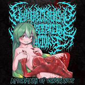 Aftermath of Vengeance REDUX