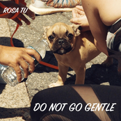 Do Not Go Gentle