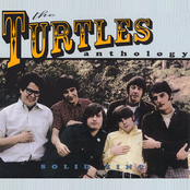 Goodbye Surprise by The Turtles