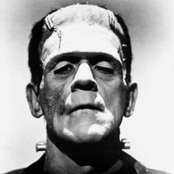 Words & Music Of Frankenstein