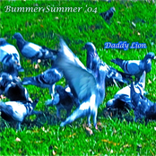 Bummer Summer '04