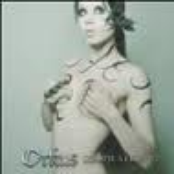 Orkus Compilation 57