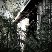 Extrasensory Perceptions