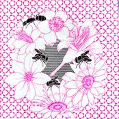 Already Sleeping 7 Inch