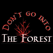 Don't Go Into The Forest