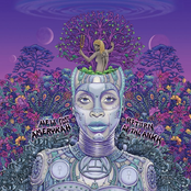 Erykah Badu: New Amerykah Part Two: Return of the Ankh