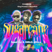 Sugarcane (Sped Up & Glitch Africa Remix)