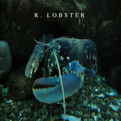 r. lobster