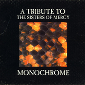 Monochrome - A Tribute To The Sisters of Mercy