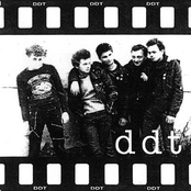 Ddt (polish Punk)