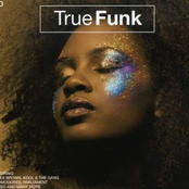 True Funk [3 CD Set]