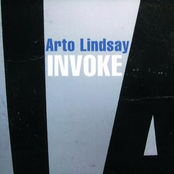 You Decide by Arto Lindsay