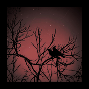 Ashes at Last: You Can't Stop The Sunset