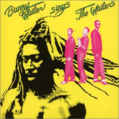 Mellow Mood by Bunny Wailer