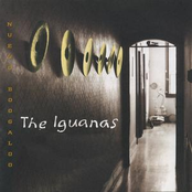 The Iguanas: Nuevo Boogaloo