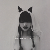 Sleepwalkers by David Sylvian