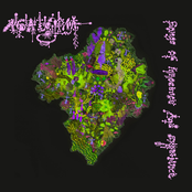 Songs Of Innocence And Experience