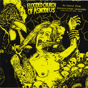 No Parole From Necropolitean Catacombs (Tapes And EP's 2009 - 2016)