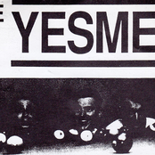 the yesmen