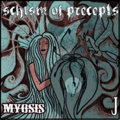 Schism Of Precepts (Split)