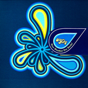 Nice Weather for Ducks!