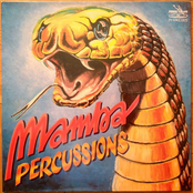 mamba percussions