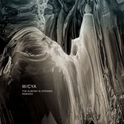 The Almond Is Opening Remixes