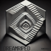 DREAMRIPED