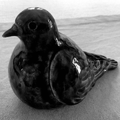 I will never be the guy you want me to be