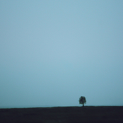 Motherland Landscapes