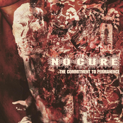 No Cure: The Commitment To Permanence