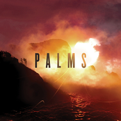 Tropics by Palms