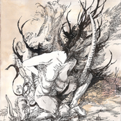 The Arteries of Heresy