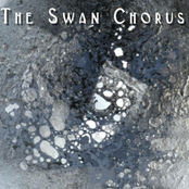 The Swan Chorus