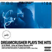 Dreamcrusher Plays the Hits (LIVE 2-2-2022 at Trans Pecos NYC)