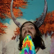 Laughter's An Asshole / Lion Land