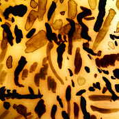 Songs From the Subfloor