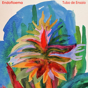 Endofloema
