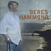 Songs Of Happiness by Beres Hammond